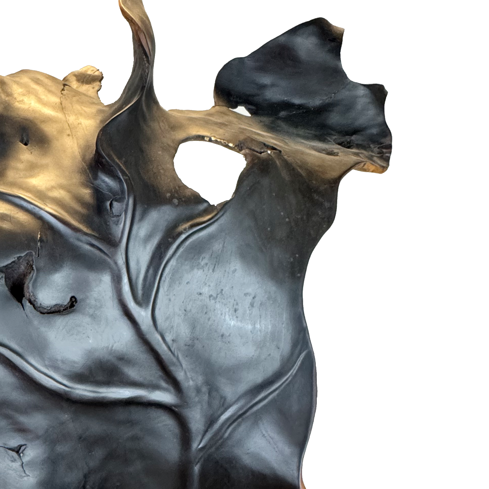 Freeform Sculptures