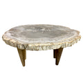 Box 14-1 -  Petrified Wood Top, Side Table, Top Only