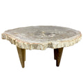Box 14-2 -  Petrified Wood Top, Side Table, Top Only