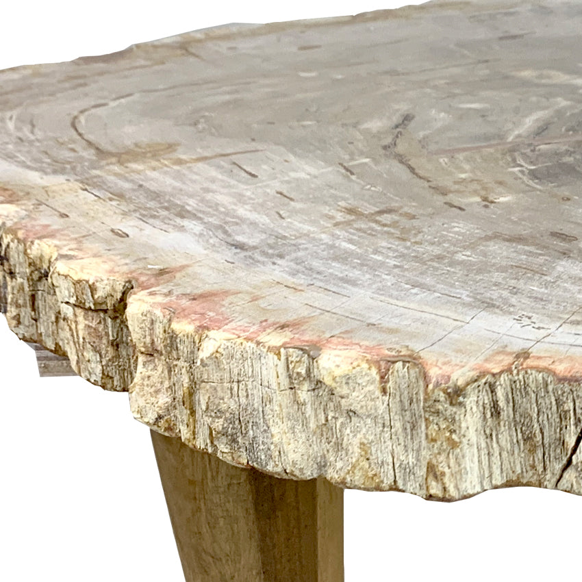 Box 14-2 -  Petrified Wood Top, Side Table, Top Only