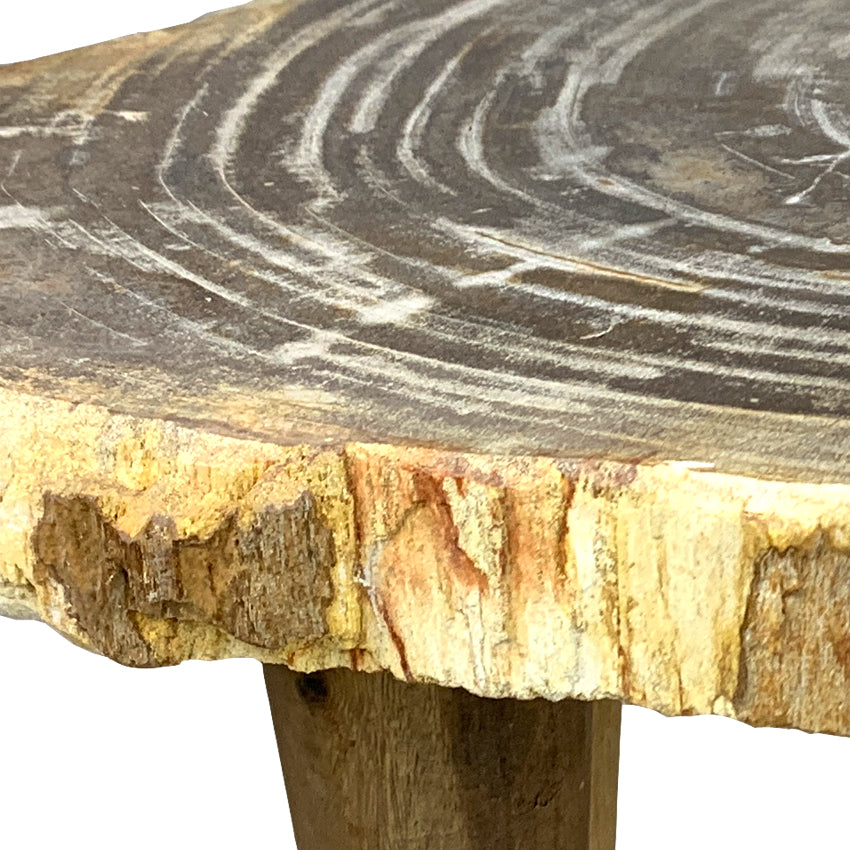 Box 15-1 -  Petrified Wood Top, Side Table, Top Only