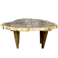 Box 15-2 -  Petrified Wood Top, Side Table, Top Only