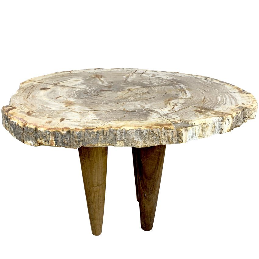 Box 16-1 -  Petrified Wood Top, Side Table, Top Only