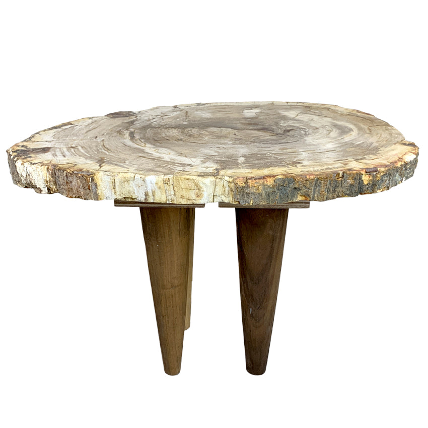 Box 16-2 - Petrified Wood Top, Side Table, Top Only