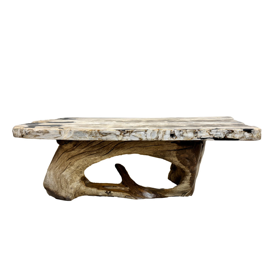 Box 31 - Coffee Table
