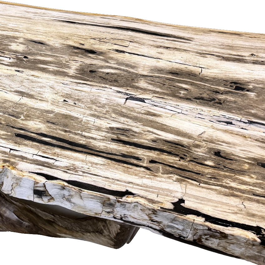 Box 31 - Coffee Table